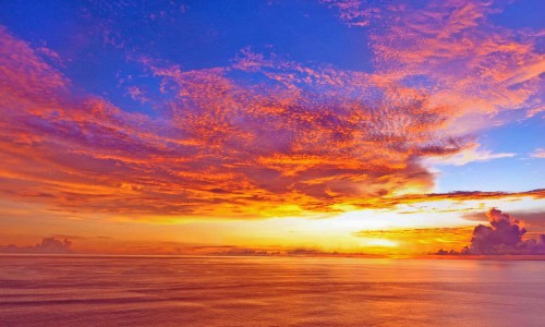 达克罗宁乳膏说明书-权威达克罗宁软膏的全称平台,分享专业达克罗宁乳膏价格多少钱知识_达克罗宁乳膏价格网
